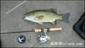 如何玩好路亚 国内路亚钓的一些实战经验小谈