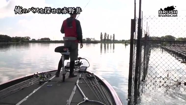 【路亚视频】琵琶湖赤野井湾三村和弘BASS攻略